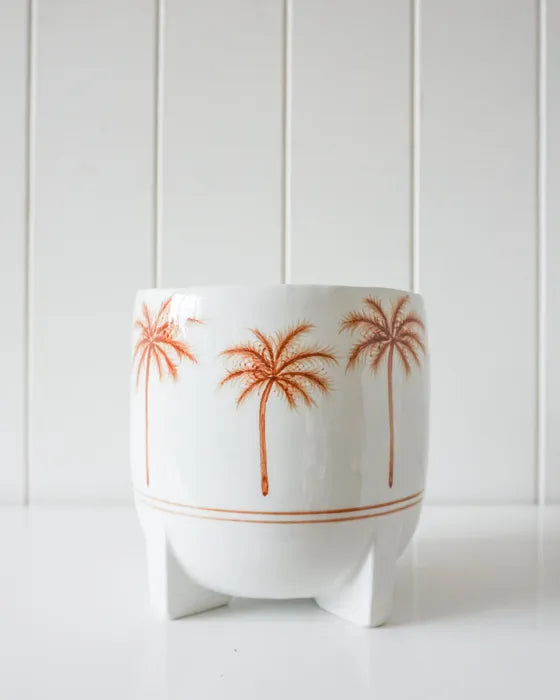 Morocco Palm Pot